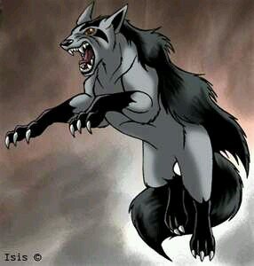 Mightyena__'s profile picture. Soy un Mightyena que ha sufrido maltratos terribles a manos de los humanos... mi venganza está en camino.