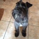 Jess Stubley - @Jesse_LouXx - Twitter