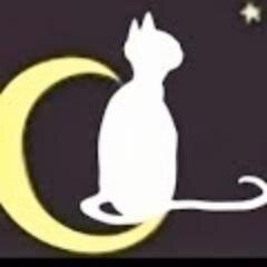 FiraMagicaSbd's profile picture. I Fira de les ciències alternatives- 25, 26 i 27 d'Octubre de 2013.