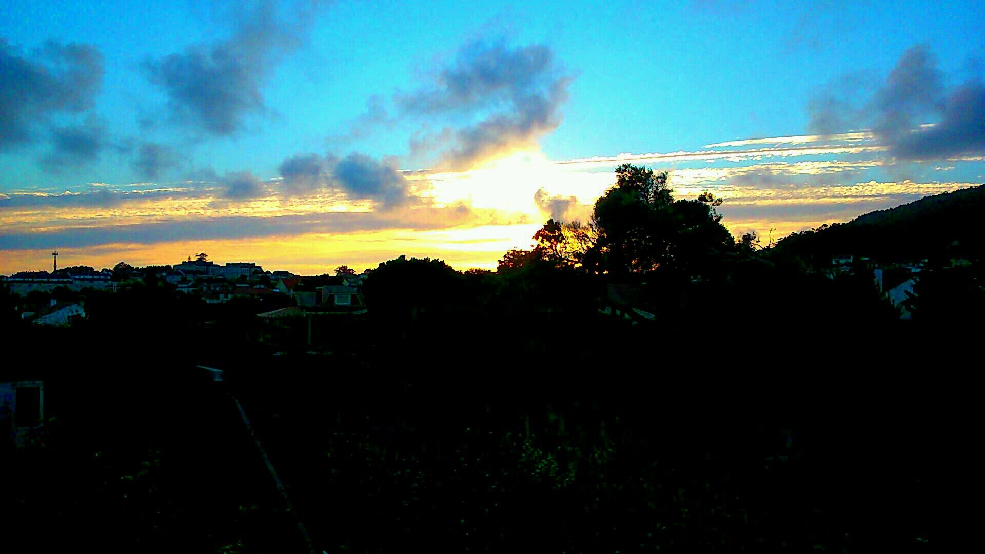 Zephys19's profile picture. 