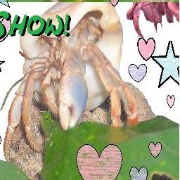 Computer Graphics, Graphic Design, Animal Enthusiast, Wood Carving, Family, Making Videos, Gaming, All Things Fun! :D https://t.co/lNTLtFgaNt
