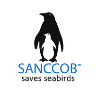 SANCCOB (@sanccob) 's Twitter Profile