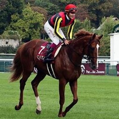 闘争勝ちが義理
