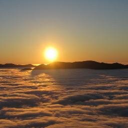 dawnstaruk's profile picture. 