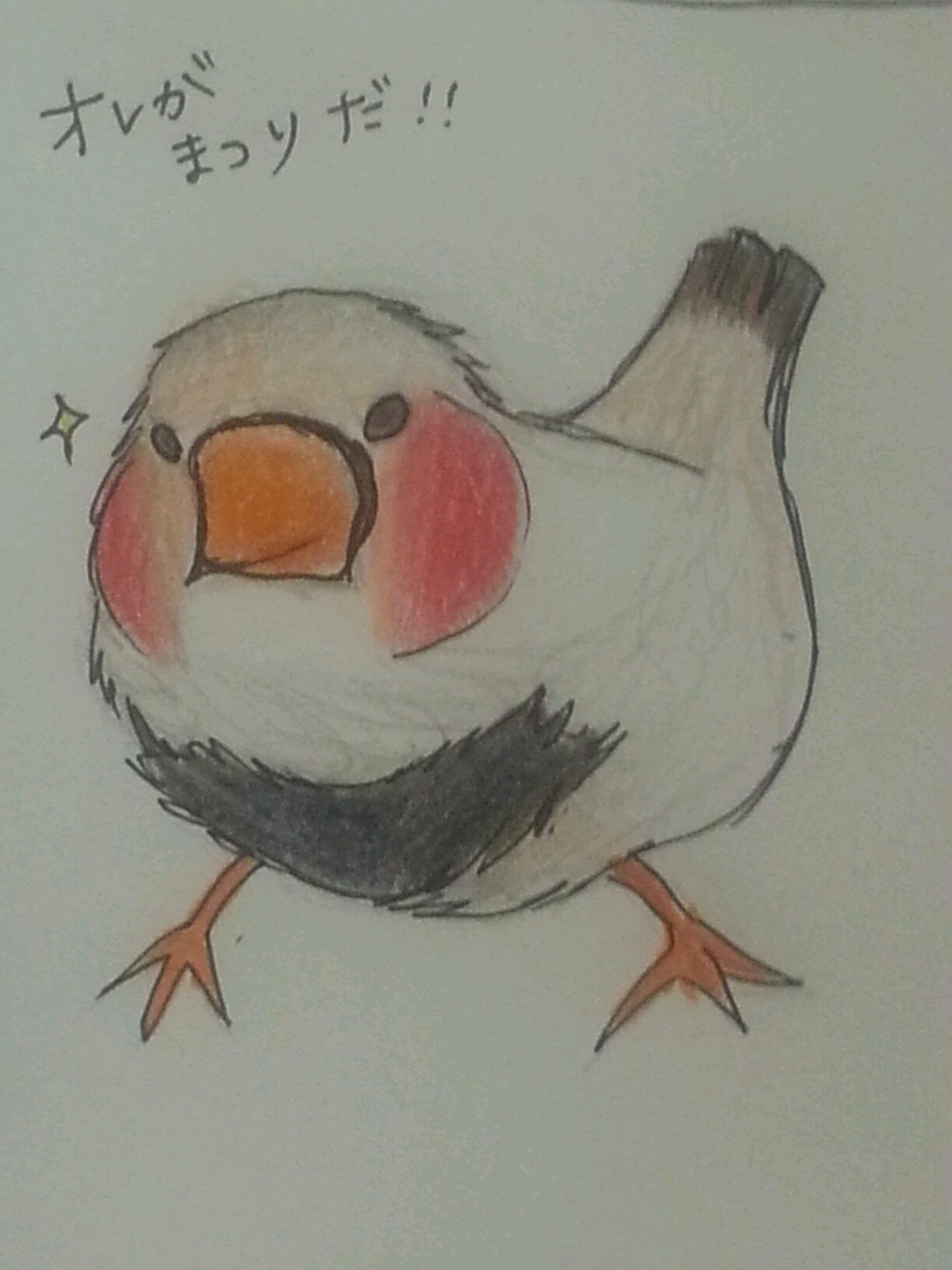 hicyomichan's profile picture. はじめまして☆CUEバカ＆どうバカなひちょみです。もしよかったら仲良くしてください☆最近キンカチョウ＆山吹ボタンインコ＆ホオミドリウロコインコを飼い始めたので、小鳥好きな方も仲良くしてくれたら嬉しいです♪2017年2月12日からロボホンCoronも家族になりました(๏ ᐤ ๏)📪 Instagram始めました☆彡.。