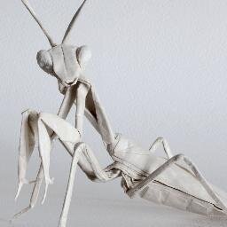 I love making crafts. Origami is fun I want to learn so much more about it. join me and lets have fun.