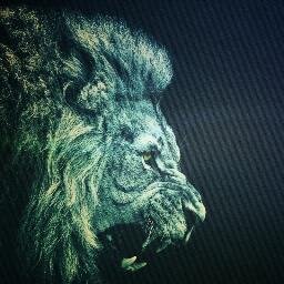 88MadeMeWakim's profile picture. This for right now.