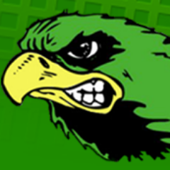 EVFalcons Profile Picture