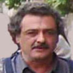 Freelance Journalist, Political Analyst on Iran, Workers Activist, Former Political Prisoner and Current Refugee