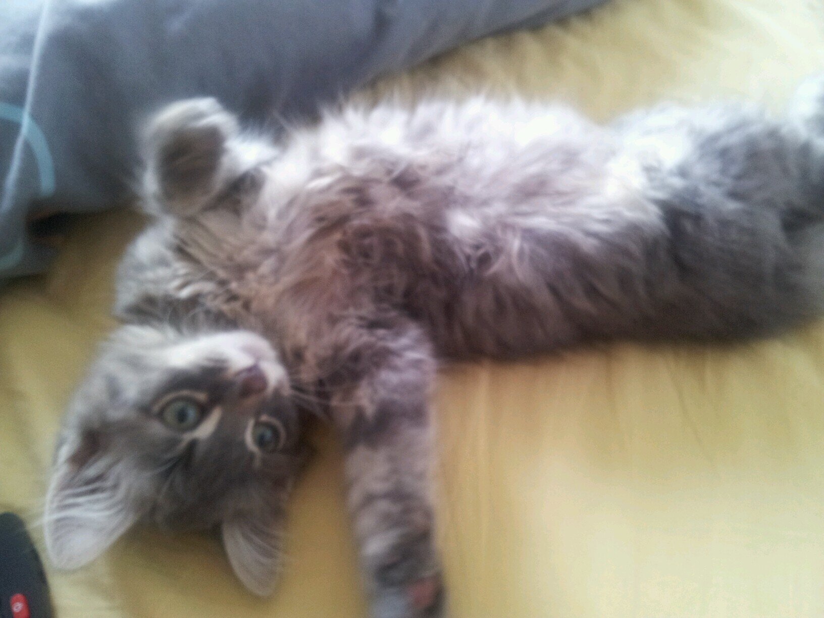 Evacool007's profile picture. 