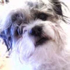 Orangepens's profile picture. IT Guy, Handy Man, Runner