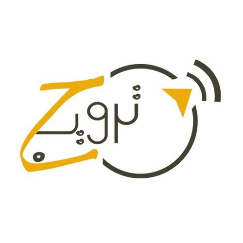 شركة تقدم حلول تسويقية للشركات الصغيرة والمتوسطة