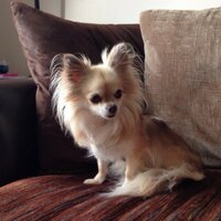 Christine Mann ๐ (@simplyi2ed) 's Twitter Profile