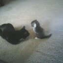 April Mack - @AprilMack21 - Twitter