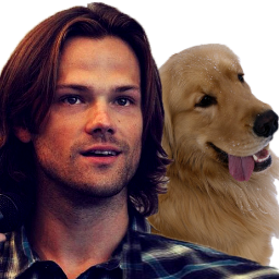 I got bitten by a skinwalker when I was in college. I freaked and fled.(up to early S9 at most) #MV -My Brother is #Dean and my dad is @John__SPN -- Bio in link