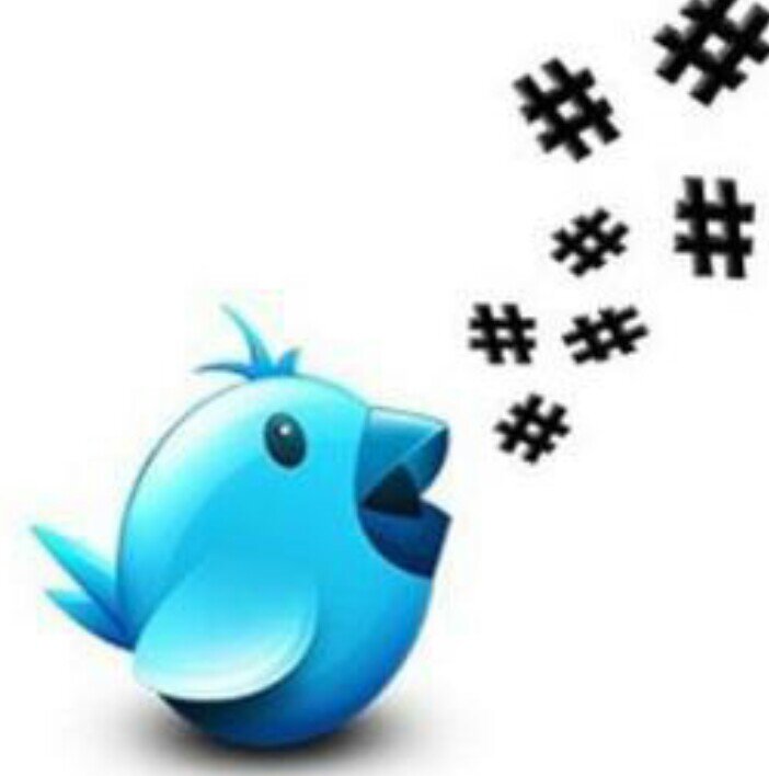 ‏‏فولو مي فولو باك