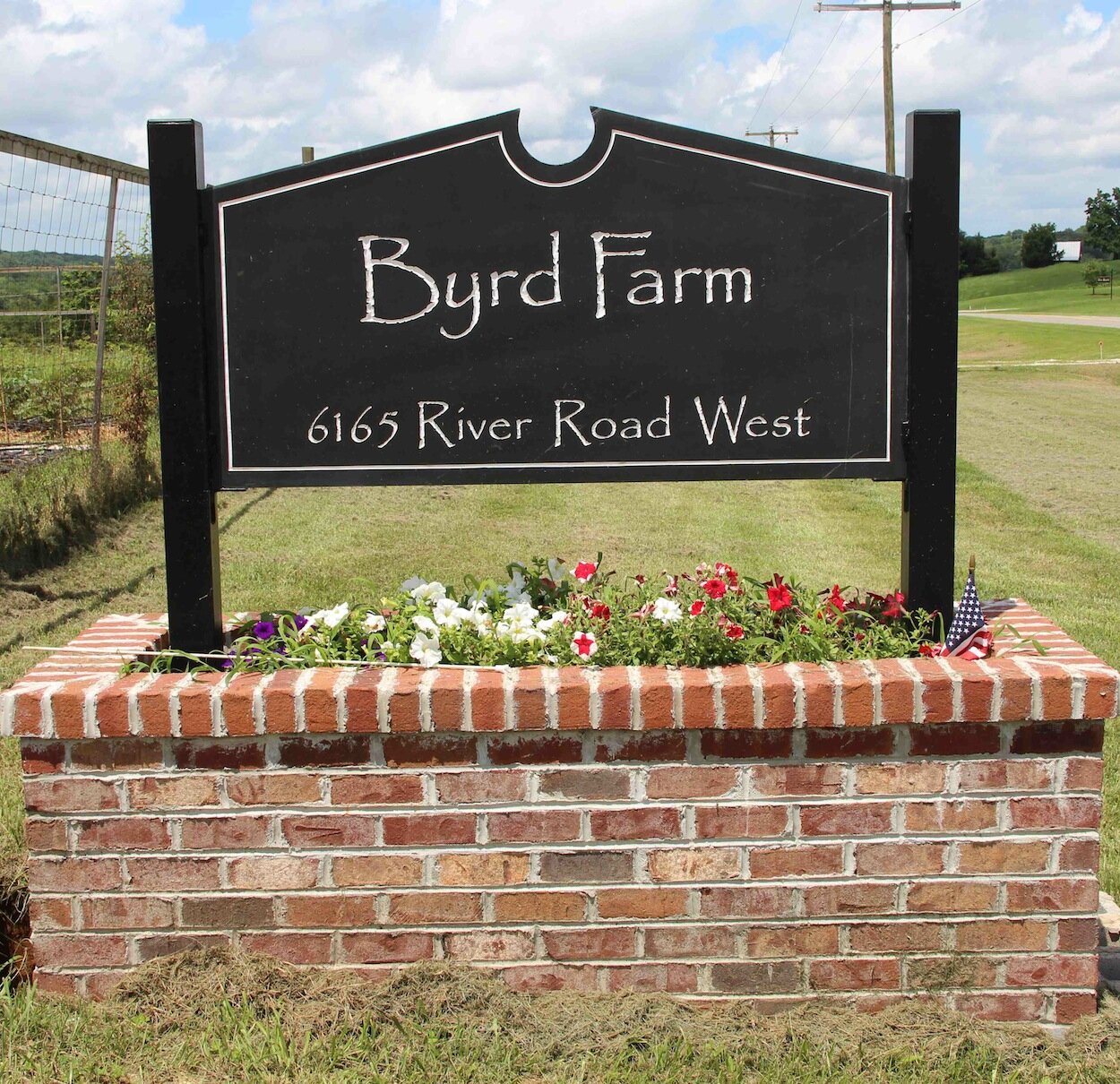family-owned farm, high quality vegetables, strawberries, herbs and flowers;  USDA certified organic, co-producer for Rural Virginia Market CSA.