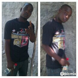 lion_robens's profile picture. 