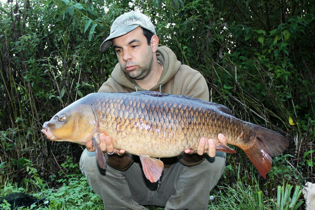 Self employed Gardener of 12 years, self confessed angler for 30 years, Liverpool Fc ,