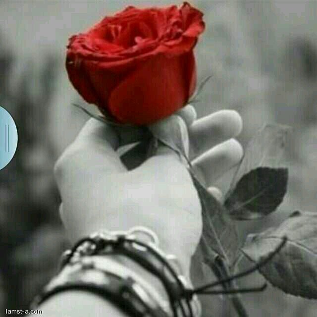 ‏‏‏‏‏استغفرالله والحمدلله والله اكبر ♡♡