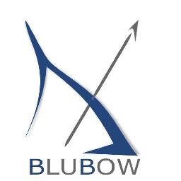 BluBow a Canadian company offering an end to end #precrowd solution to companies who seek #crowdfunding within multiple industries.