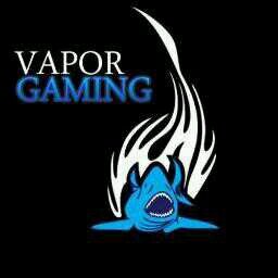 Joueur decerto dans la team @ExoD_Gaming, Objectif Player