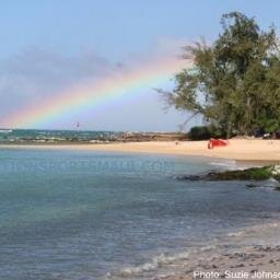 Action Sports Maui offers Kite, Wind, Surf, and SUP rentals and lessons. Call us for real time wind reports and forecasts.