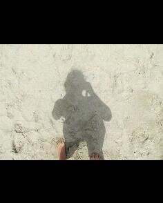 rosanne_hoi Profile Picture