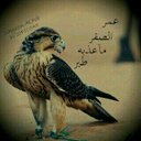 عايض سعد الحارثي (@0033Msaod) Twitter