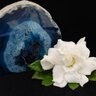 ExoticTreasure1's profile picture. Mother/Son Team of Jewelry Designers - love color, natural stones, gemstones, pearls, copper, silver, and crystals 🇺🇸#Prolife 🇺🇸#USA ✡ ✝️