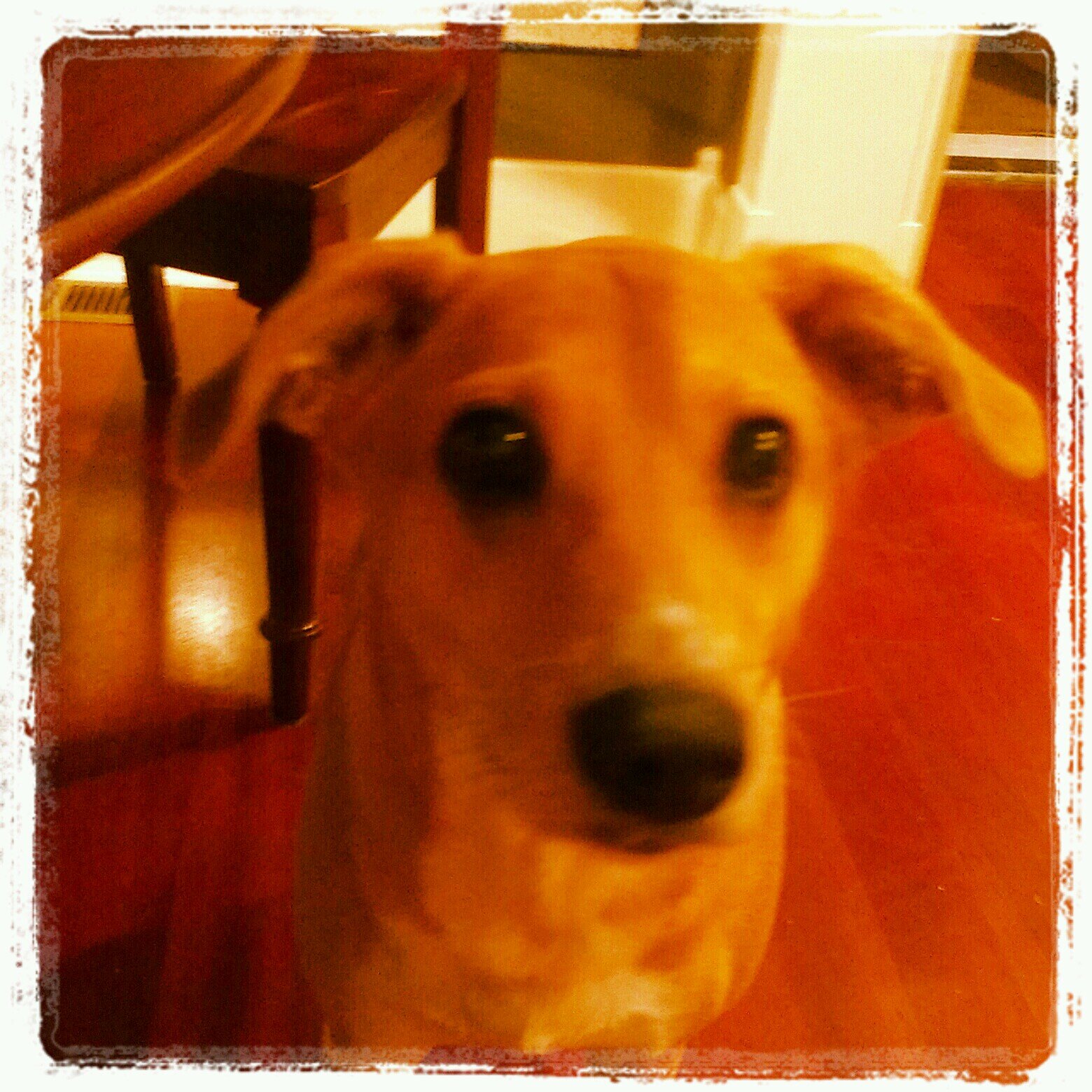 Lezlie94's profile picture. 