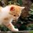 330467043's profile image