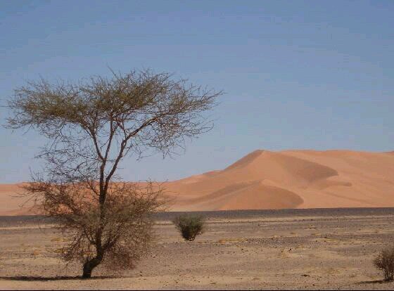 xzx68591's profile picture. مرحبا بكم