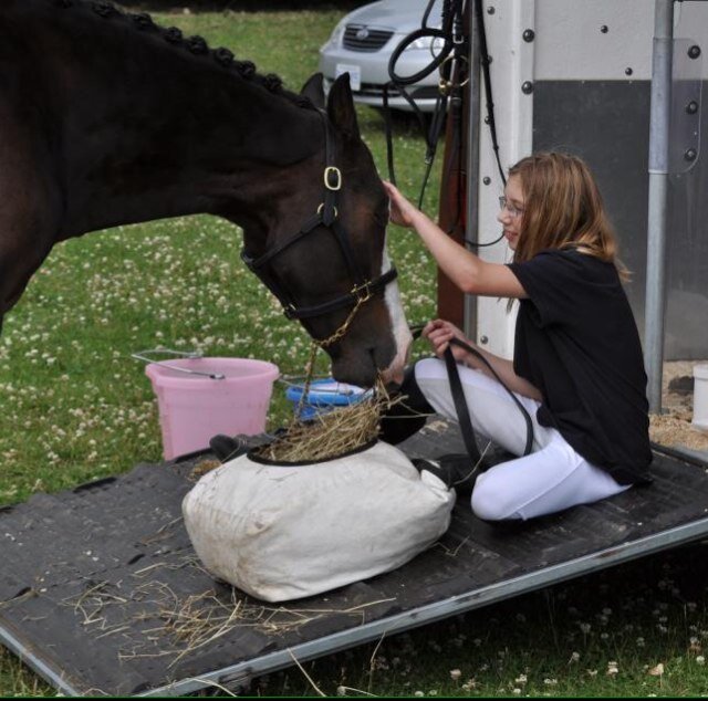 Just Hannah V's pony trying to become an FEI champion!!