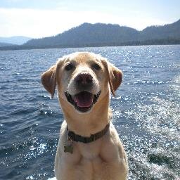 tinaanng's profile picture. 