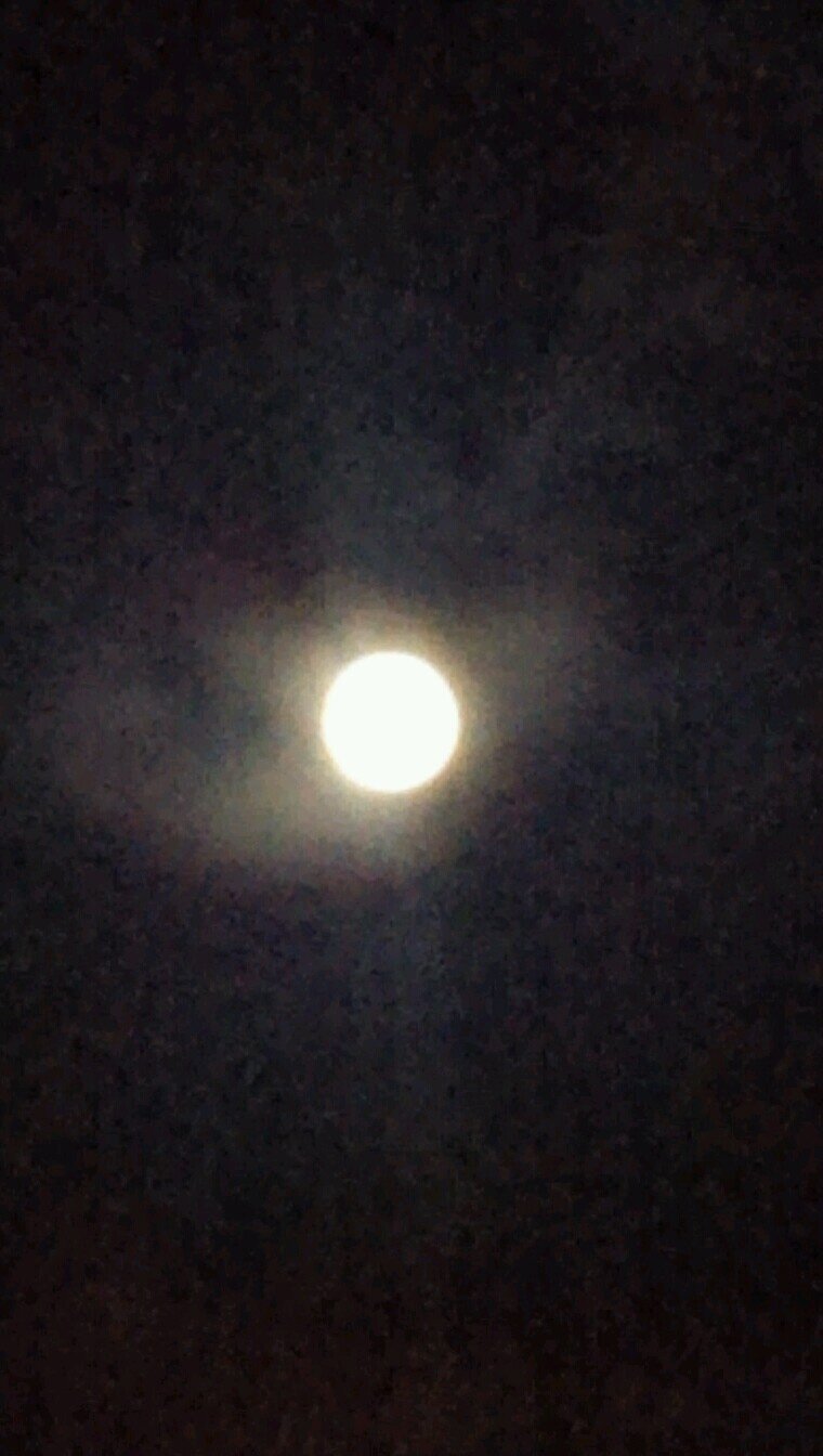 Charlieboop2's profile picture. 