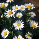 Marybeth Baker - @marybethviab - Twitter