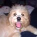 Melissa Messecar (@melissamessy) Twitter profile photo Melissa Messecar (@melissamessy) Twitter profile photo