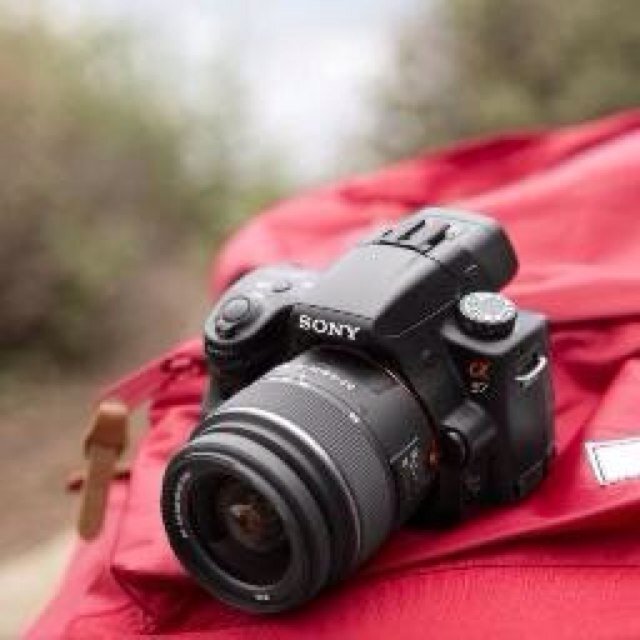 Pic_KT Profile Picture