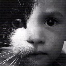 Queremos somente a verdade............@ClubeFollowBack @SeLigaNaDica