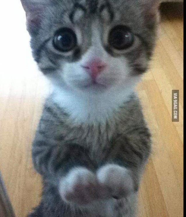 Techb4sh's profile picture. 