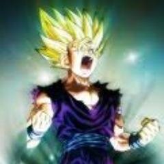 estudiante pendejo ,gamer ,experto en huevadas ,querido por todos,otaku,deportista etc...