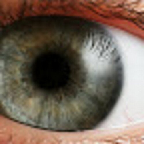 SoyMortal1 Profile Picture