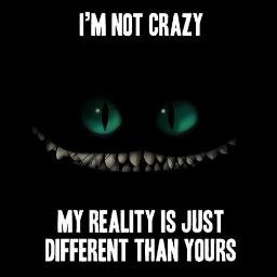 I'm not crazy, my reality is just different than yours