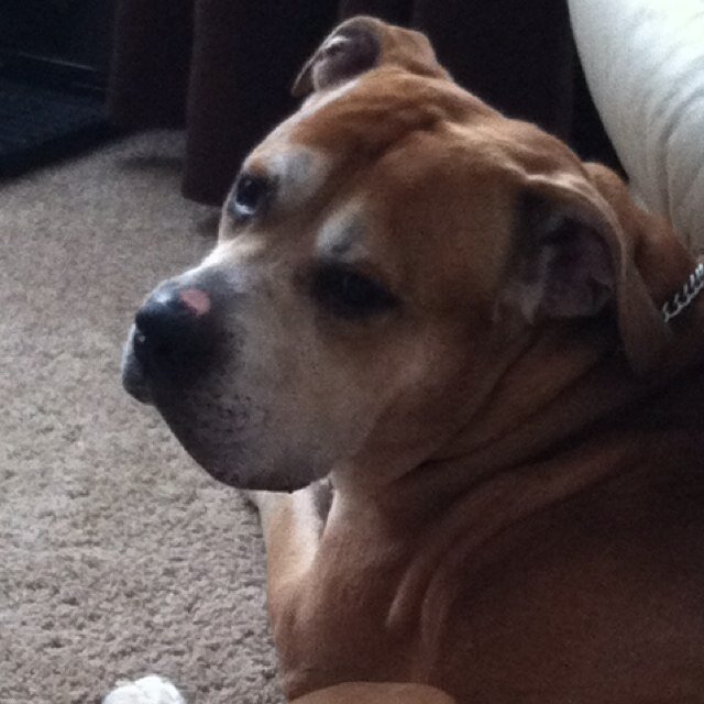 RU_FCKN_KIDN_ME's profile picture. 