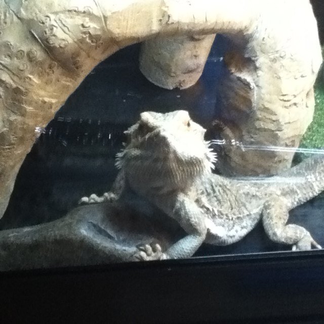 jaytomven's profile picture. Best friends in school best utubers @jaytomven