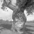 profile rt