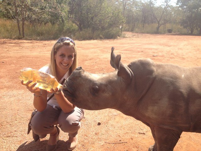 Hardworking, Fun Loving Marketer who loves to laugh...and loves rhinos!