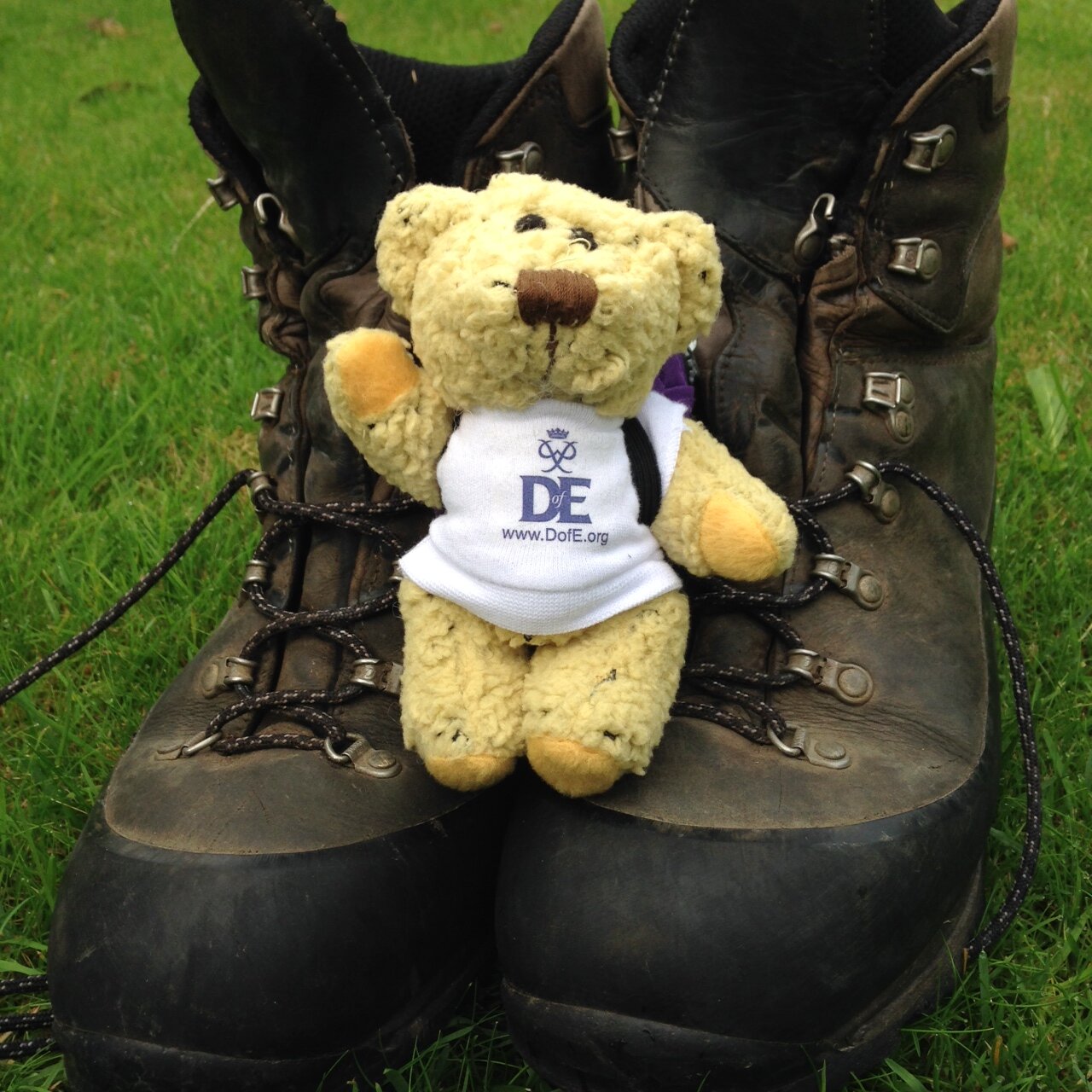 I'm Eddie, the DofE Teddy... I'm here at Anglia Ruskin University assisting the Duke of Edinburgh's Award manager to help you!