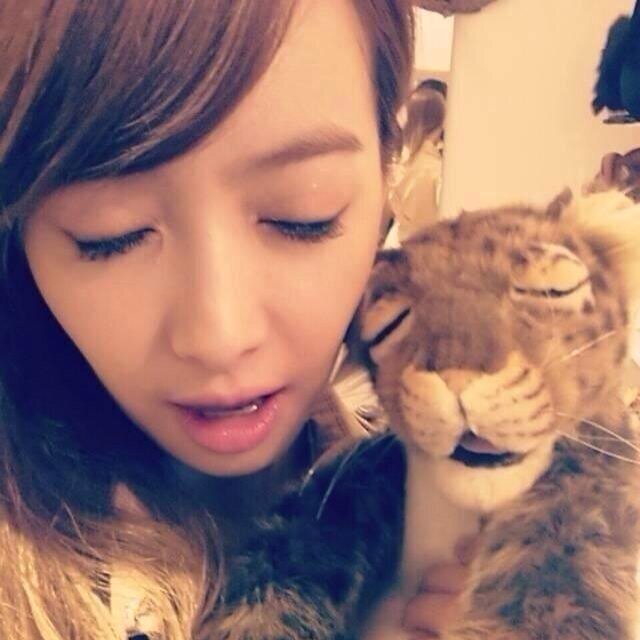 f(x) 빅토리아 bot. 2013/09/08